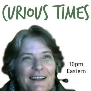 Curious Times - Bridget Harrison, Psychic Paranormal Investigator